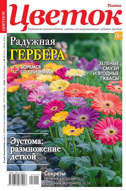 Цветок №12 июнь 2025