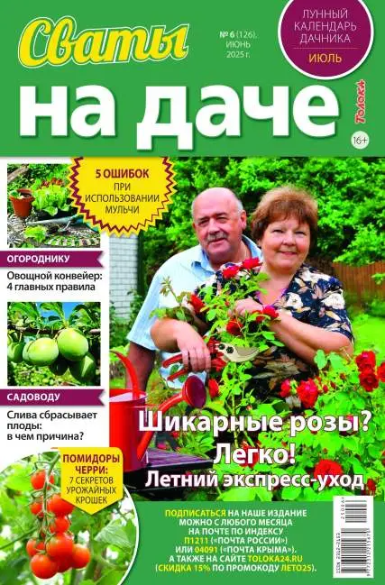 Сваты на даче №6 июнь 2025
