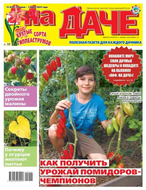 Аиф На даче №12 июнь июль 2025