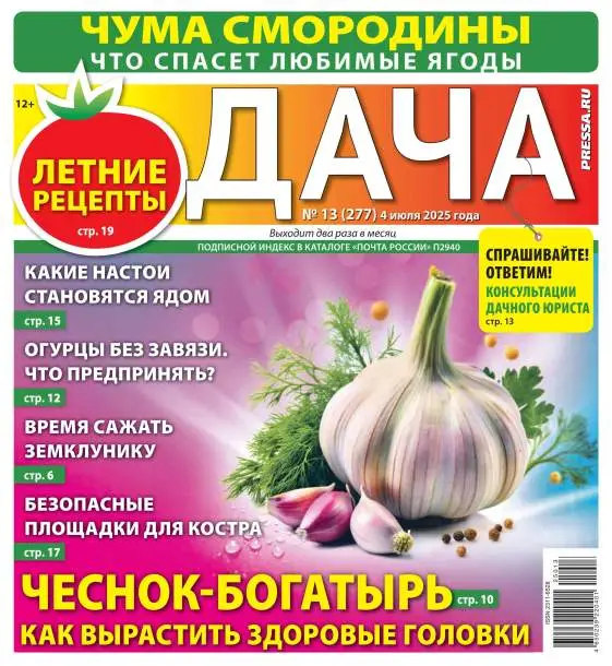Дача №13 июль 2025