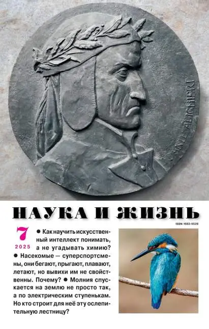 Наука и жизнь №7 июль 2025