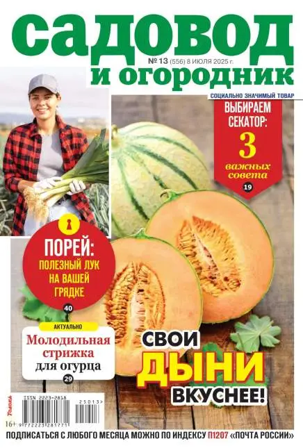 Садовод и огородник №13 июль 2025