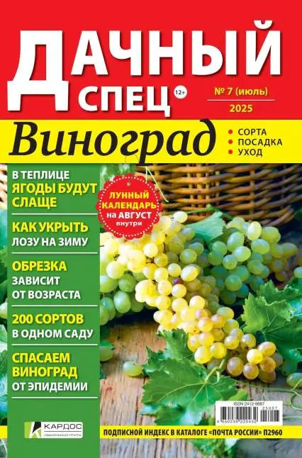 Дачный спец №7 июль 2025