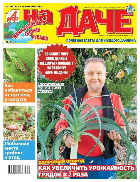 Аиф На даче №13 июль 2025