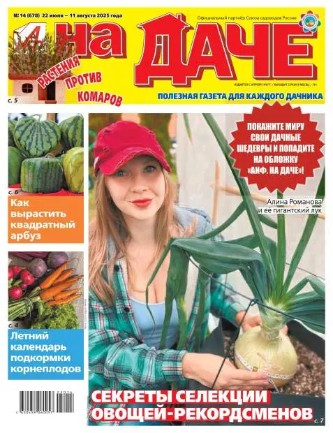 Аиф На даче №14 июль август 2025