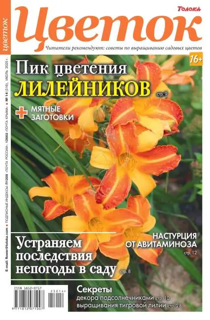 Цветок №14 июль 2025