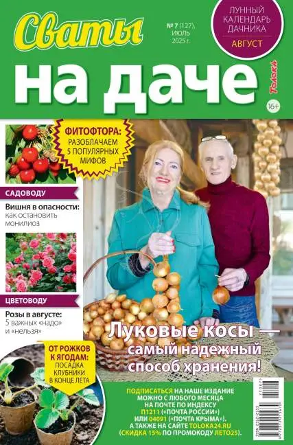 Сваты на даче №7 июль 2025