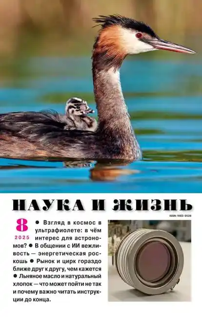 Наука и жизнь №8 август 2025