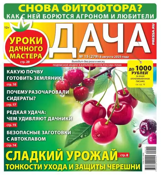 Дача №15 август 2025
