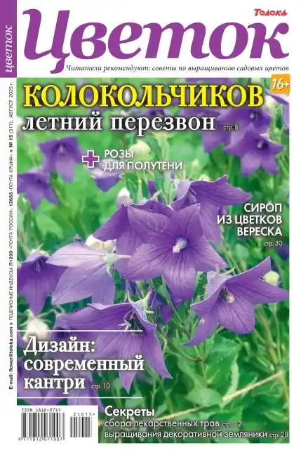 Цветок №8 август 2025