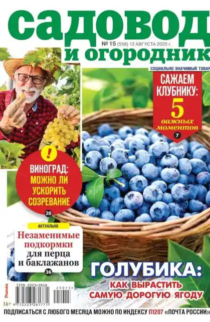 Садовод и огородник №15 август 2025
