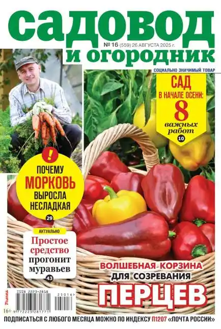 Садовод и огородник №16 август 2025