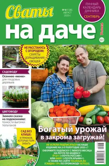 Сваты на даче №8 август 2025