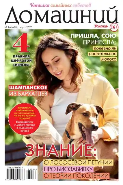 Домашний №16 август 2025