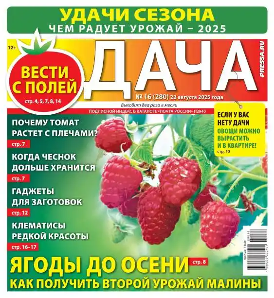 Дача №16 август 2025