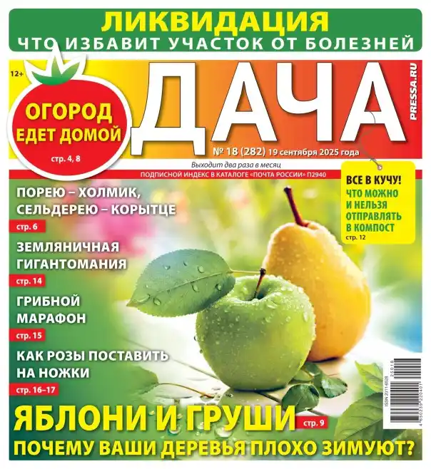 Дача №18 сентябрь 2025