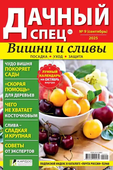 Дачный спец №9 сентябрь 2025