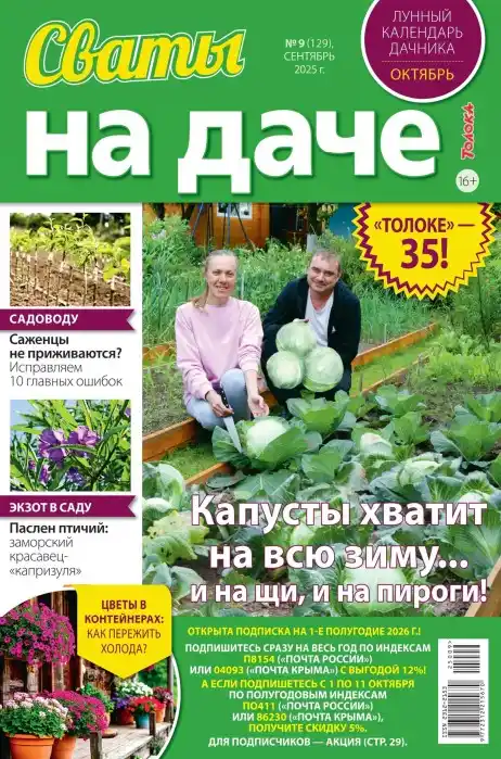 Сваты на даче №9 сентябрь 2025