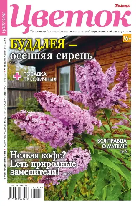 Цветок №18 сентябрь 2025