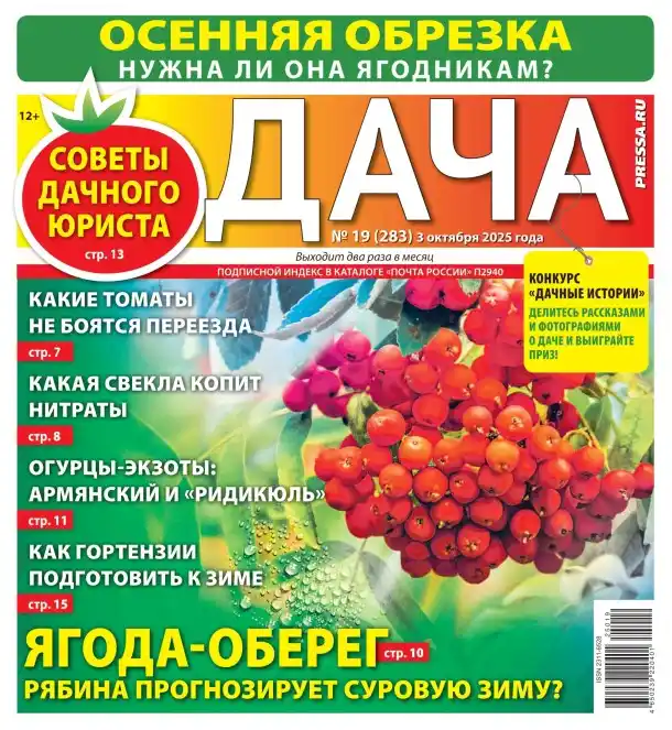Дача №19 октябрь 2025
