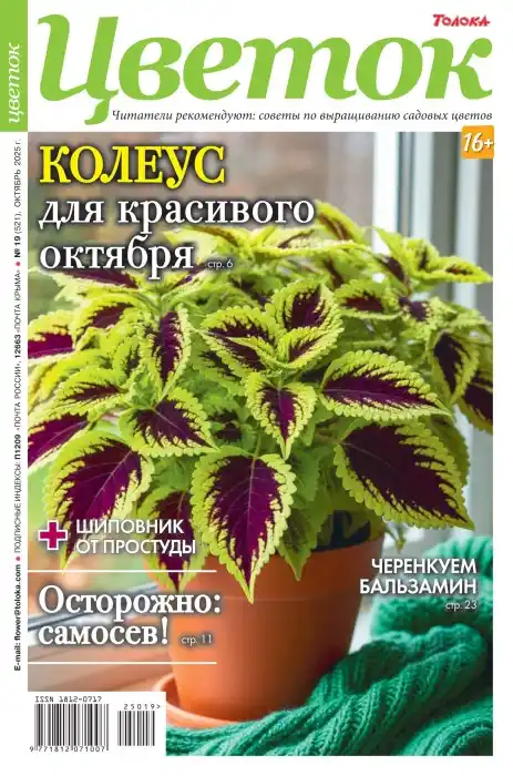 Цветок №19 октябрь 2025