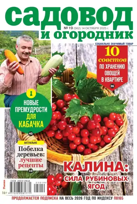 Садовод и огородник №19 октябрь 2025
