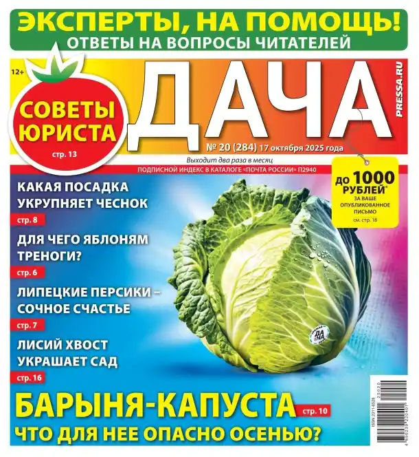 Дача №20 октябрь 2025