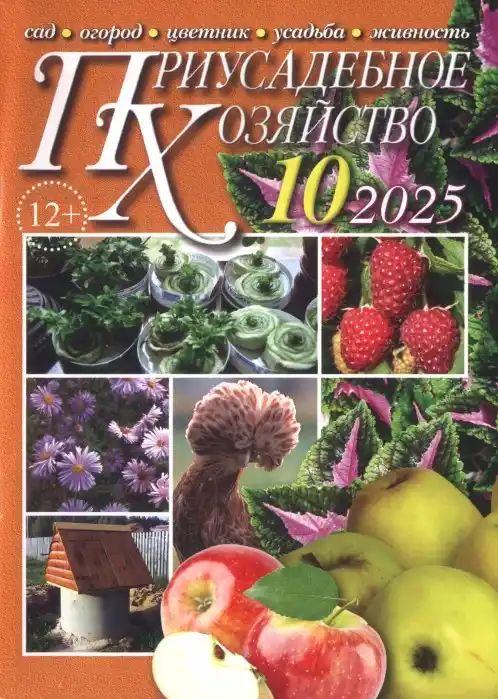 Приусадебное хозяйство №10 октябрь 2025