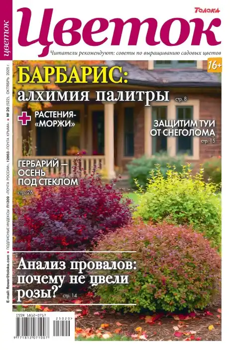 Цветок №20 октябрь 2025