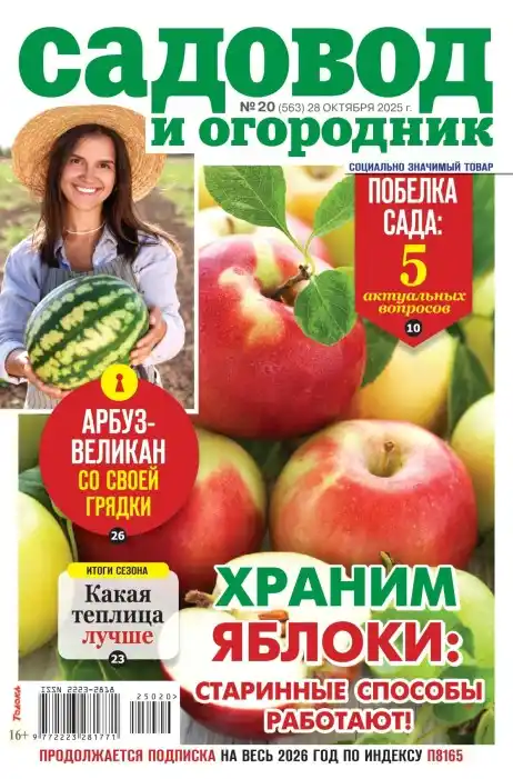 Садовод и огородник №20 октябрь 2025