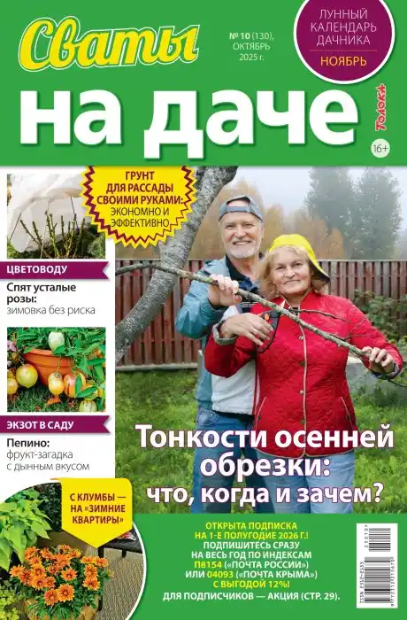 Сваты на даче №10 октябрь 2025