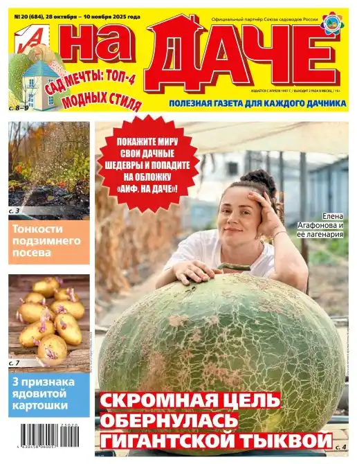 Аиф На даче №20 октябрь ноябрь 2025