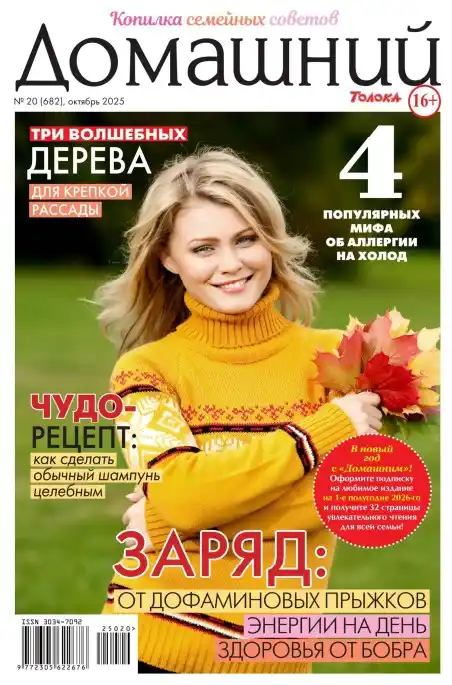 Домашний №20 октябрь 2025