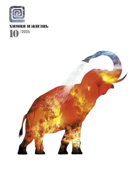 Химия и жизнь №10 октябрь 2025