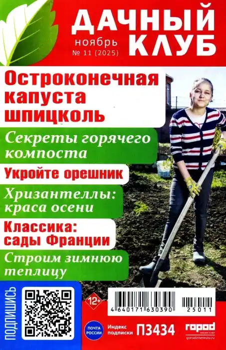 Дачный клуб №11 ноябрь 2025