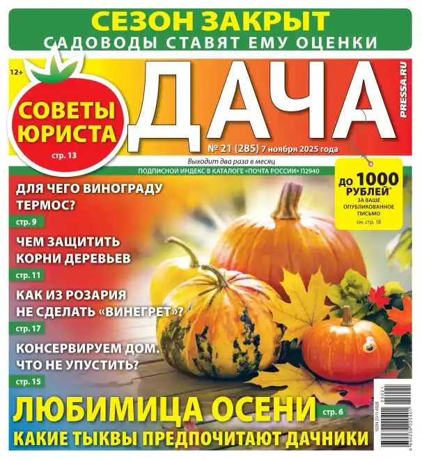 Дача №21 ноябрь 2025