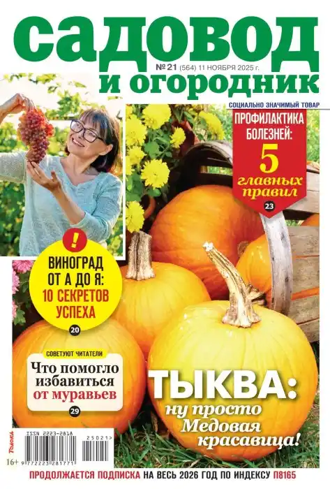 Садовод и огородник №21 ноябрь 2025