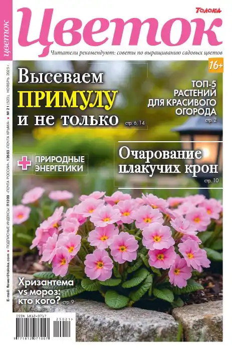 Цветок №21 ноябрь 2025