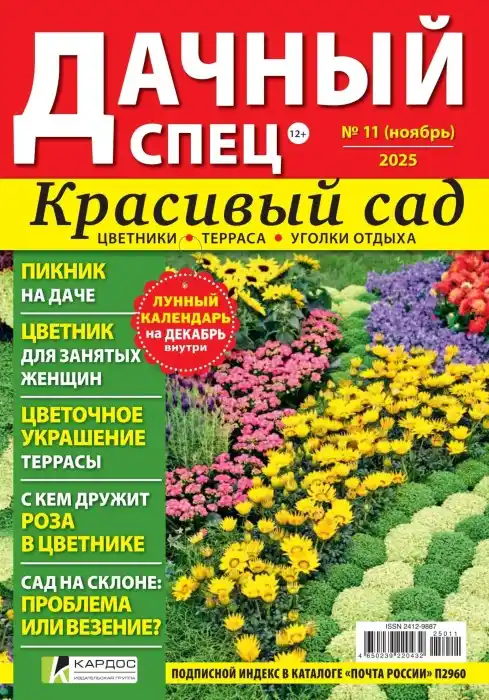 Дачный спец №11 ноябрь 2025