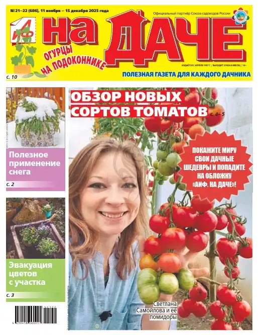 Аиф На даче №21 ноябрь декабрь 2025