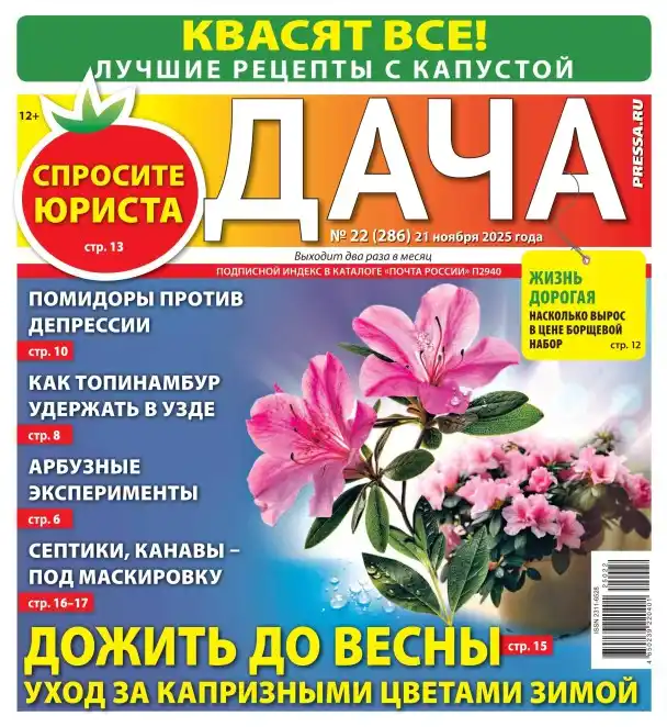 Дача №22 ноябрь 2025