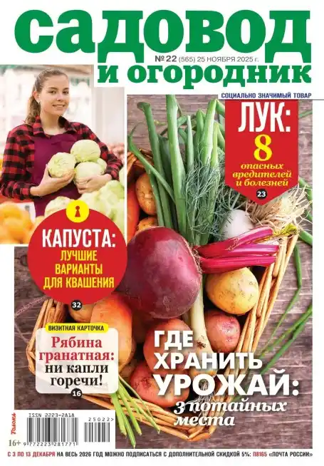 Садовод и огородник №22 ноябрь 2025