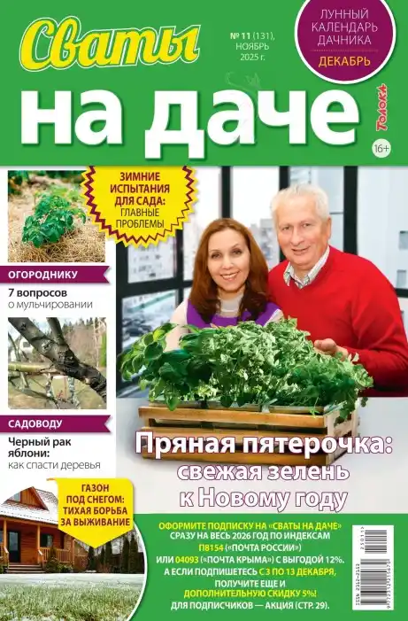 Сваты на даче №11 ноябрь 2025