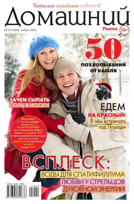 Домашний №22 ноябрь 2025