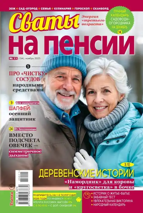 Сваты на пенсии №11 ноябрь 2025
