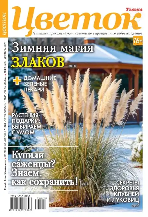 Цветок №23 декабрь 2025