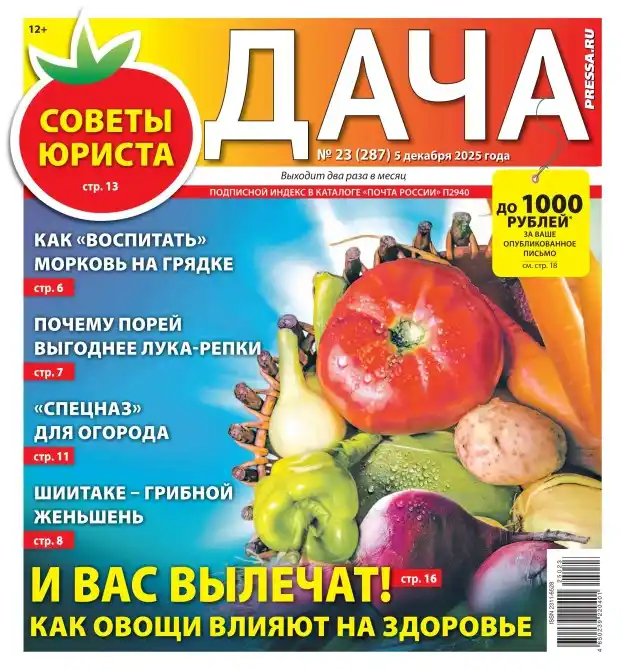 Дача №23 декабрь 2025