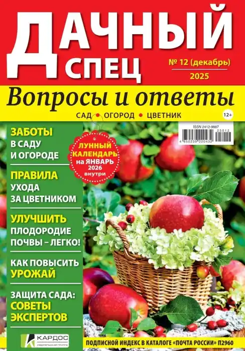 Дачный спец №12 декабрь 2025