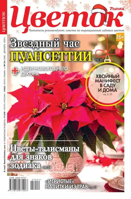 Цветок №24 декабрь 2025