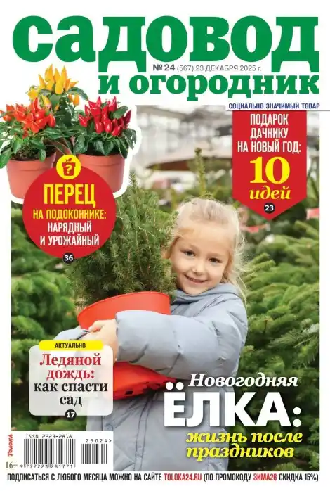 Садовод и огородник №24 декабрь 2025